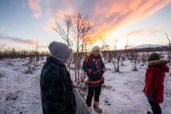 Sami Arctic Morning Light - Snowshoes & Reindeers