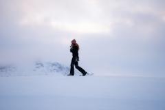 Arctic Wilderness Snowshoe Expedition