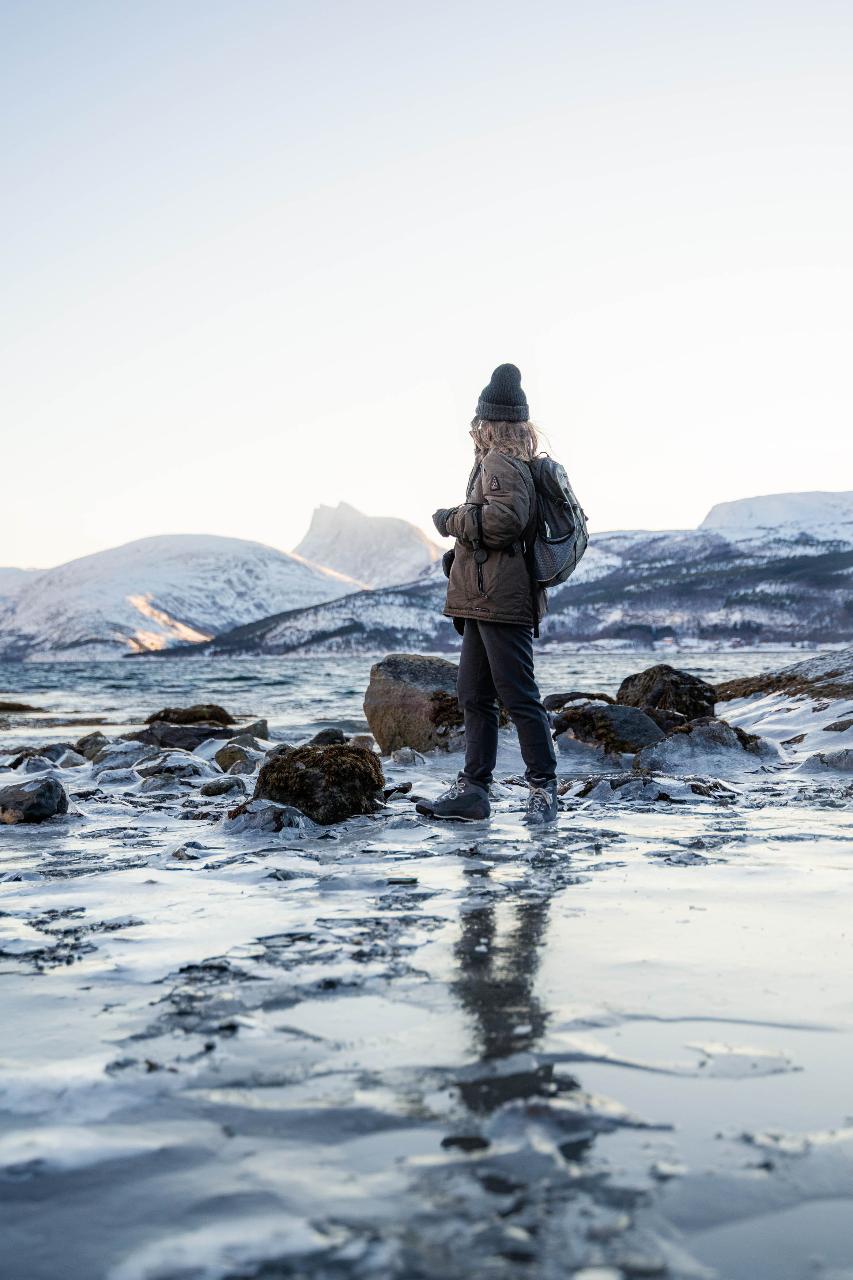 Hidden Fjords & Wildlife Expedition  - Packed lunch included