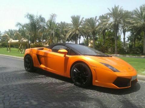 Lamborghini Gallardo Rental