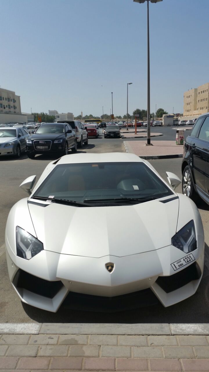 Lamborghini Aventadore