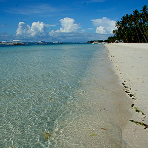 Bike Bohol