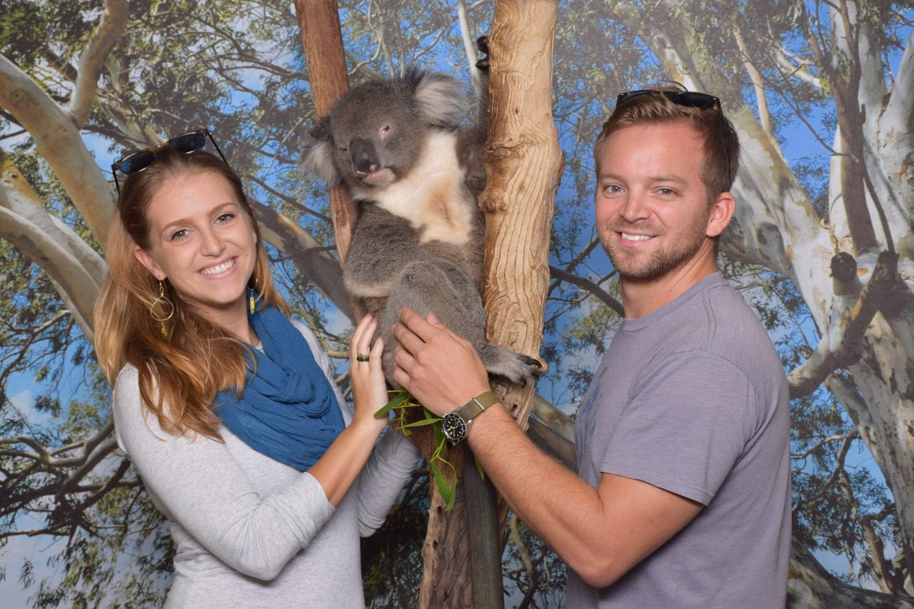 General Admission Pass + Personal Koala Encounter