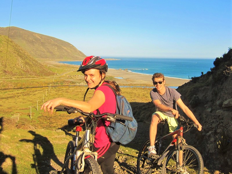4 Hour Comfort Mountain Bike Hire @ The Bike Shed - Pencarrow