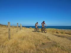 Wild Coast Cruiser @ Cycle Remutaka