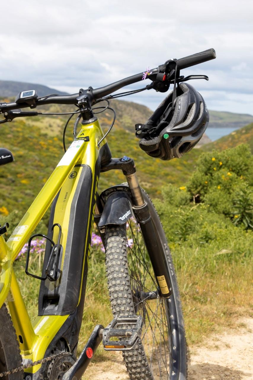 4 hour eBike Hire at Wildfinder Pencarrow