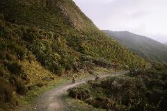 Remutaka Cycle Trail with Greytown and Cape Palliser (4 Day / 3 night)