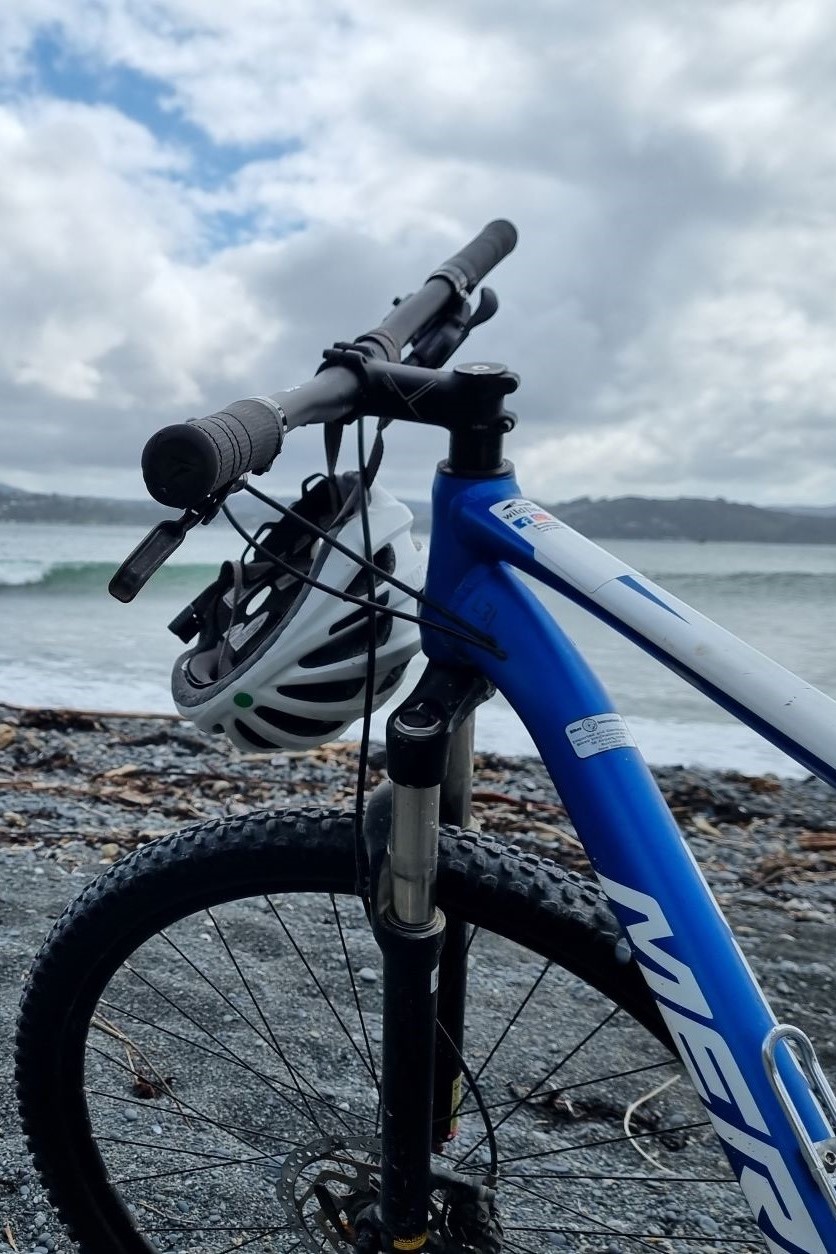4 hour Mountain Bike Hire at Wildfinder Pencarrow