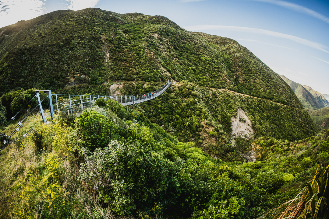 Remutaka Cycle Trail with 2-night Martinborough and Cape Palliser (6 Day / 5 Night)