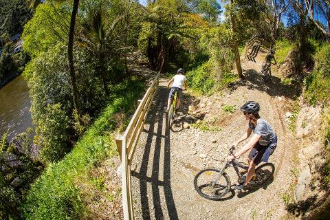 electric bikes petone