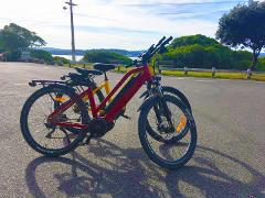 Electric Bike Hire Full Day @ Days Bay
