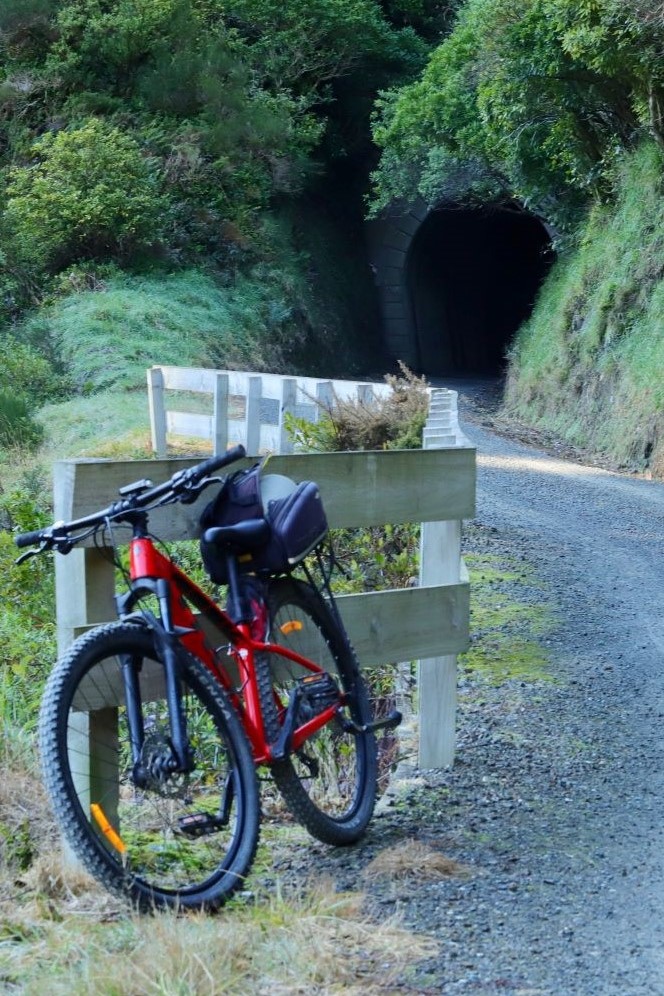 Comfort Mountain Bike Hire Maymorn Station 9am 3pm
