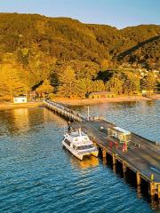 Wellington Harbour eBike Explorer (ferry first then bike)