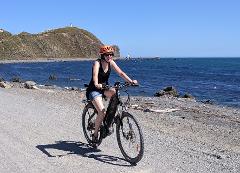 eBikes 8 Hour Hire @ Pencarrow