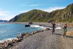 2 Hour Comfort Mountain Bike Hire @ Pencarrow