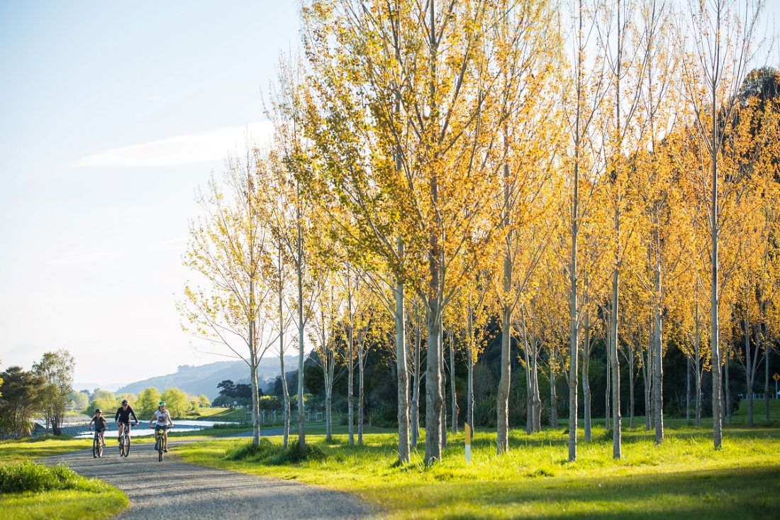 Hutt River Trail eBike Explorer