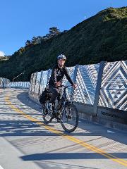 Wellington Harbour eBike Explorer: start/finish Days Bay