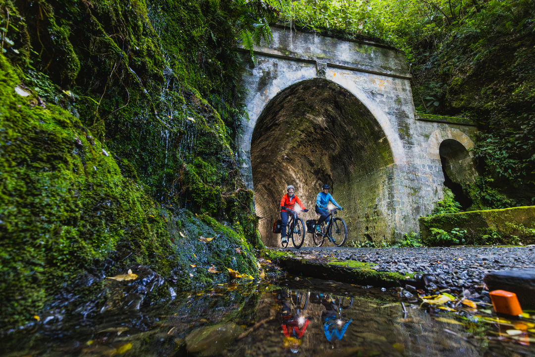 Remutaka Rail Trail eBike Explorer