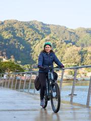 Wellington Harbour eBike Explorer (bike first then ferry)