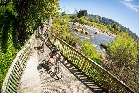 Bike shop hot sale petone