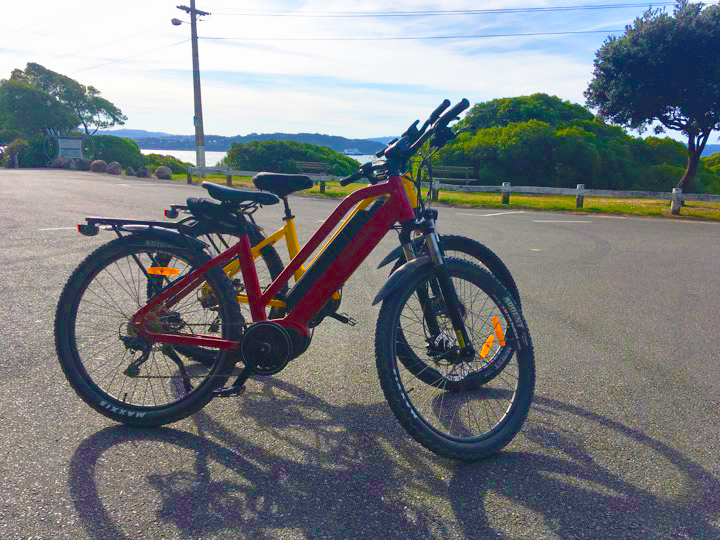 E-bikes 2 Hour Hire @ The Bike Shed - Pencarrow