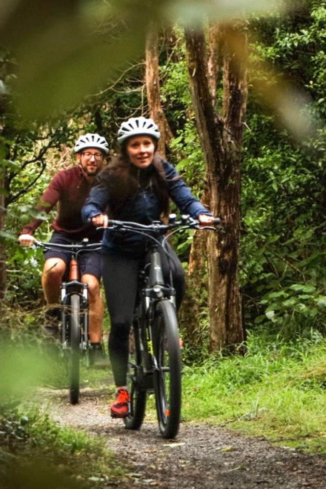 Remutaka Rail Trail eBike Explorer