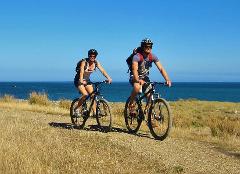 8 Hour Comfort Mountain Bike Hire @ Pencarrow