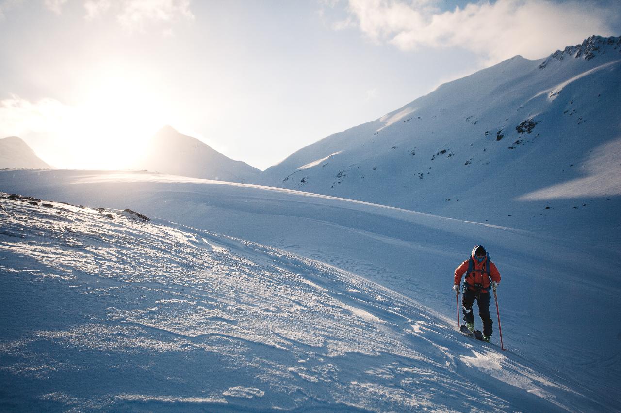 Nordalsfjäll Riksgränsen (3643-623)
