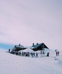 Låktastörten (3634-620)