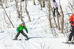 Snöstjärna Björkliden