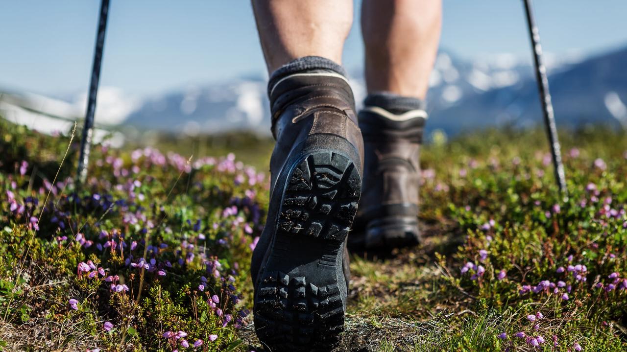 Vandringspaket till Trollsjön/Hike to Trollsjön (3643-620)