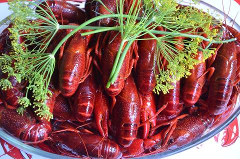 Kräftskiva Björkliden 26 augusti (Betalas på plats)
