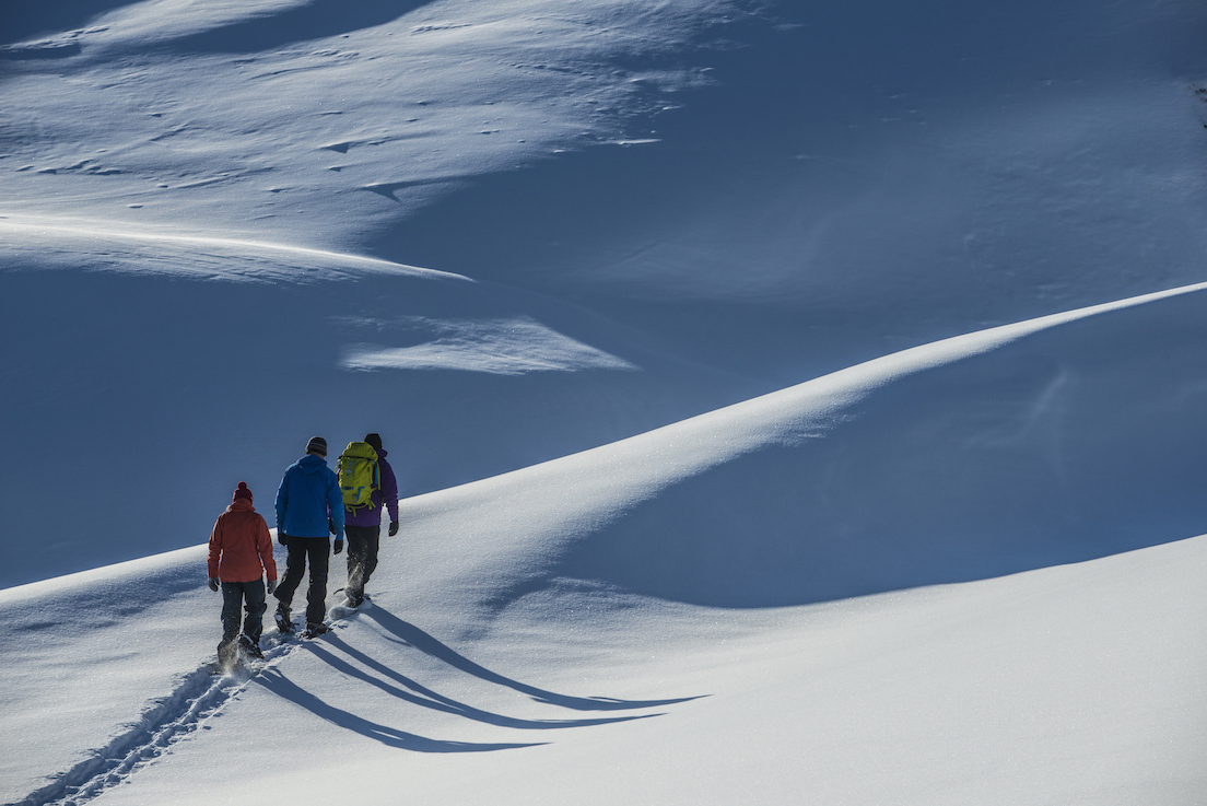 Snow shoe trek (3643-620)