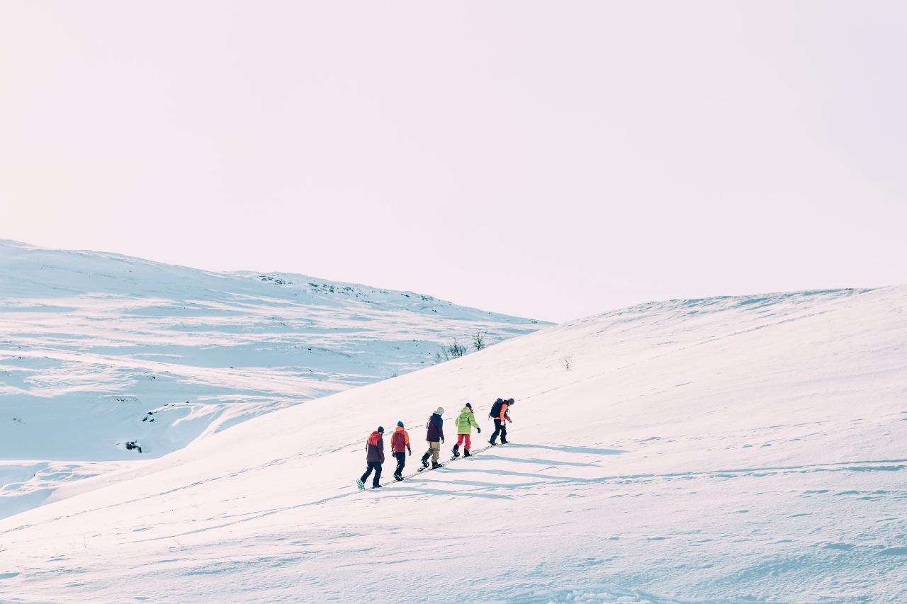 Arctic Snowshoe Adventure (3643-620)