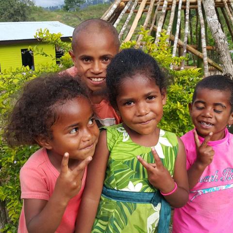 Half Day 4 hour Private Guided Tour - "You choose where to go" from Suva - Price per vehicle