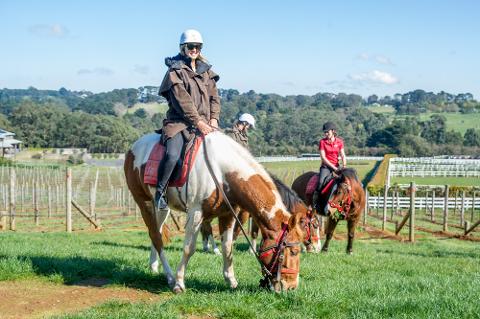 3 Hour Horseback Winery Tour - WEEKDAY- 25% OFF RRP