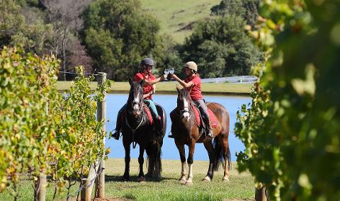 2 Hour Horseback Winery Tour - WEEKDAY - 25% OFF RRP