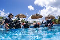 PADI Discover Scuba Diving (Resort Dive) - DIVE Today!