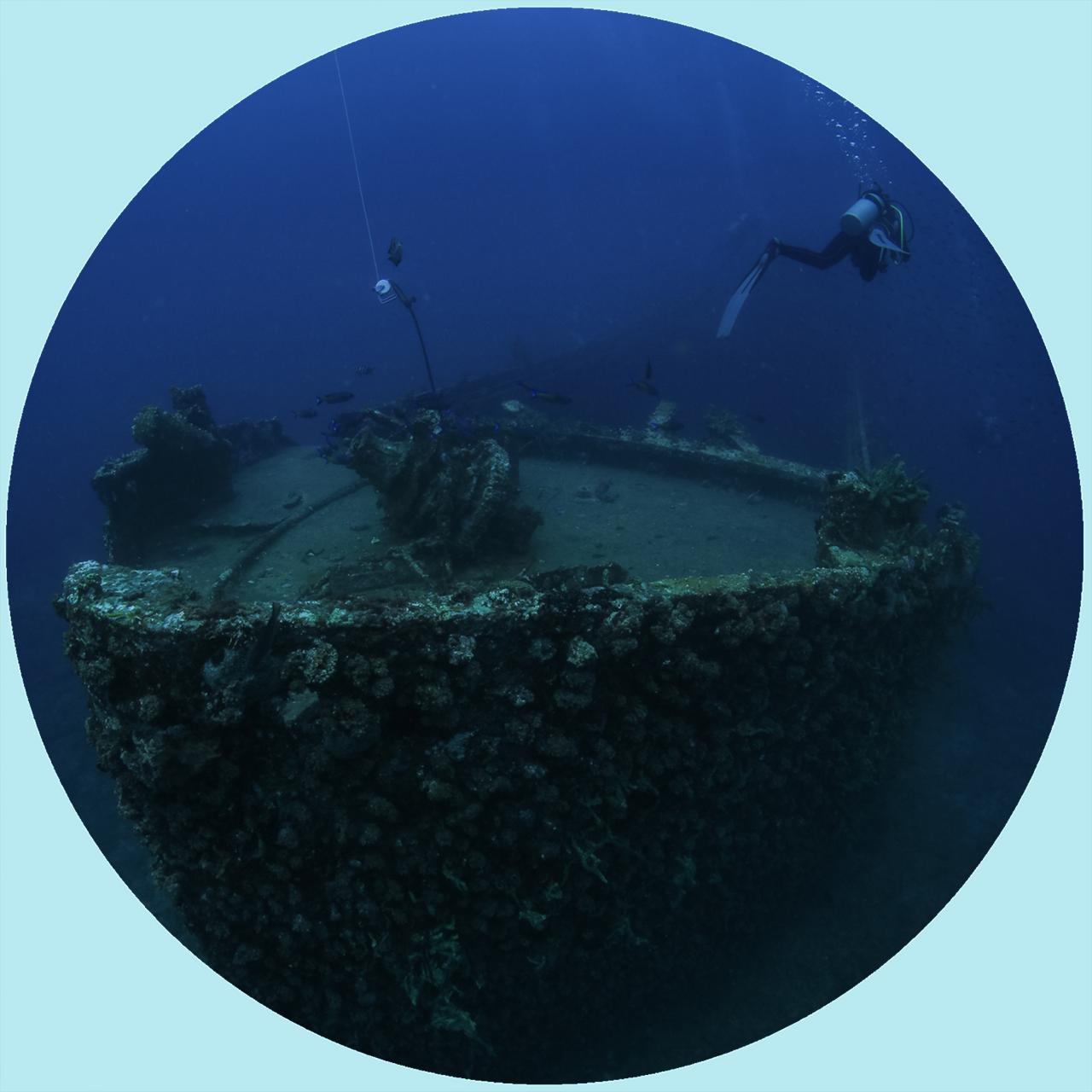 11+ Dive Package (per dive)