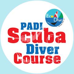 PADI Scuba Diver Course