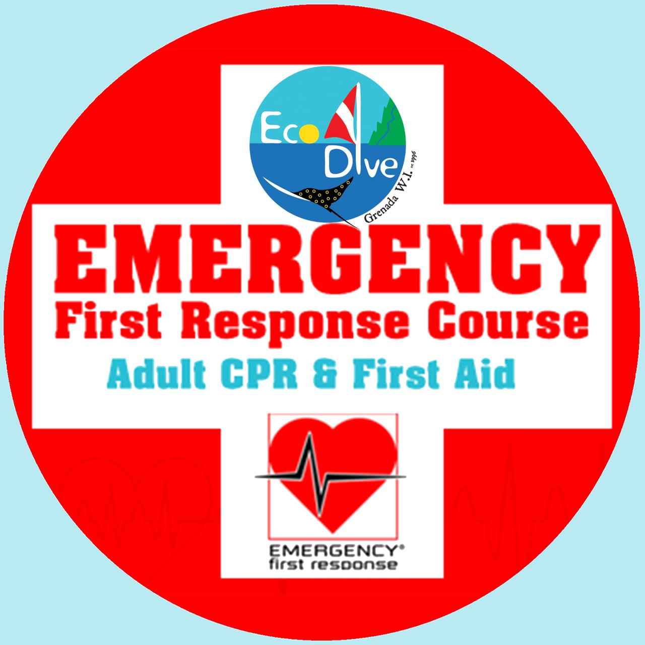 Emergency First Response Course