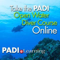 PADI Open Water eLearning Access Code