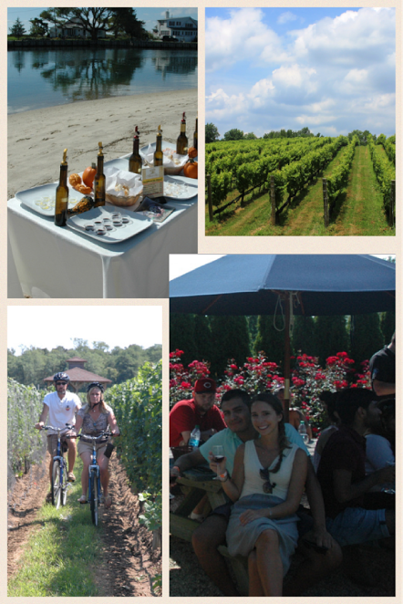Z Archived Classic Wine Country Premier Tour