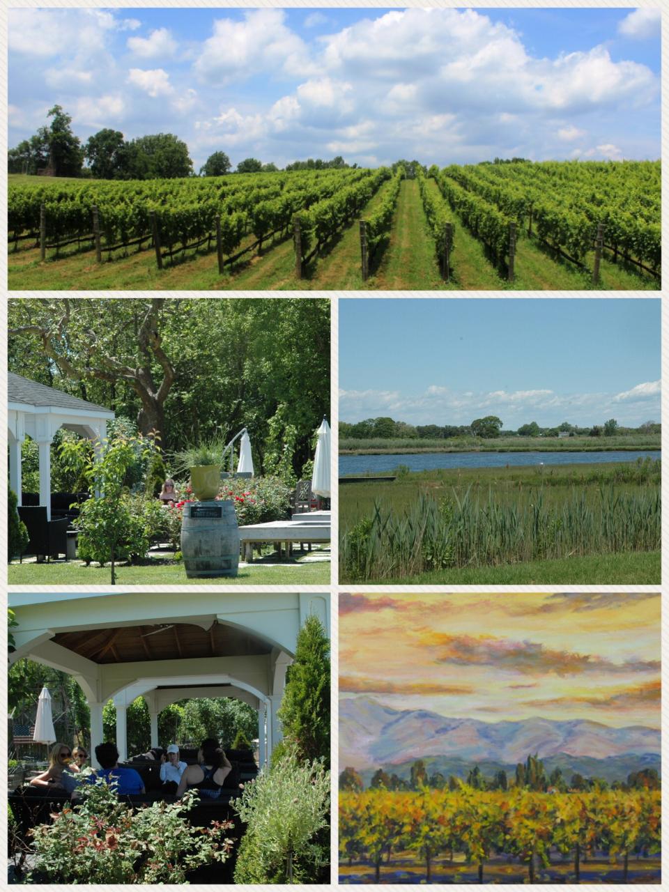 Bike Paint Sip!- A Guided Multi Experience Tour Thru Wine Country