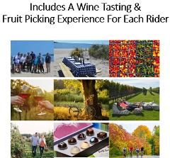 Private Tour- Wine Tasting & Fruit Picking Experience Included For Each Rider