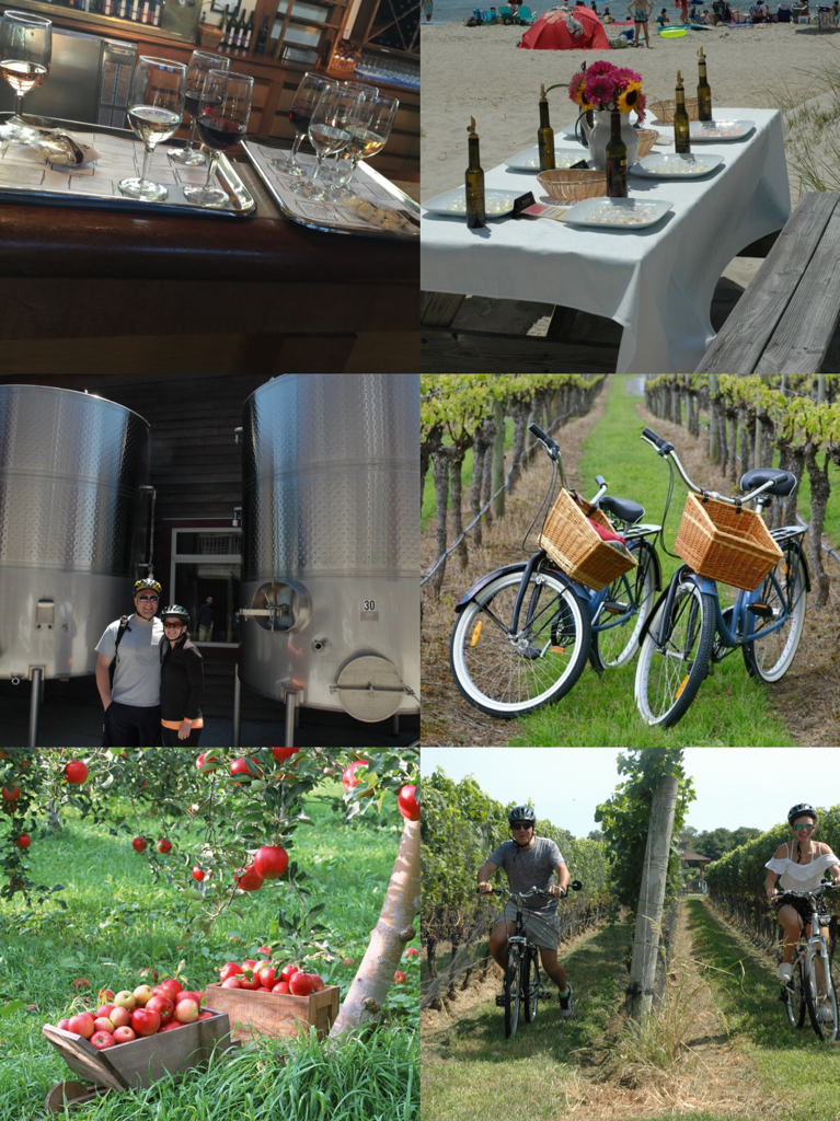 Z North Fork Experience A La Carte Tour (Apples N Wine)