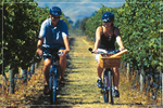 Z Archived Classic Wine Country Signature Tour Weekday