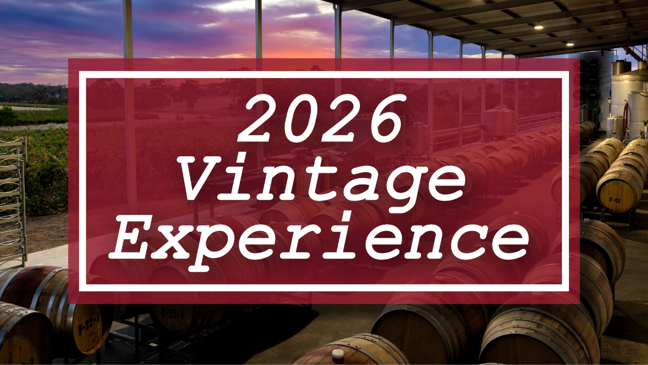 2026 Vintage Experience
