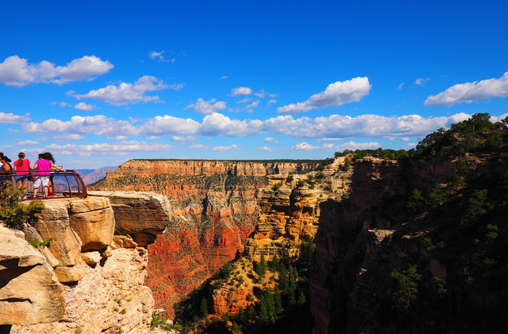 Grand Canyon National Park South Rim Tour (BA-2024)