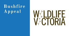 Wildlife Victoria Bushfire appeal 30 minute racing sessions